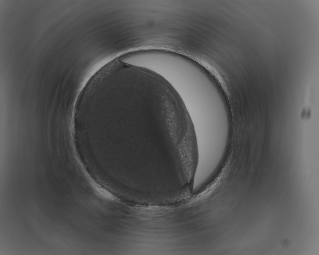 X0000094441077200711211450