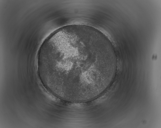 X0000094441078200711211450