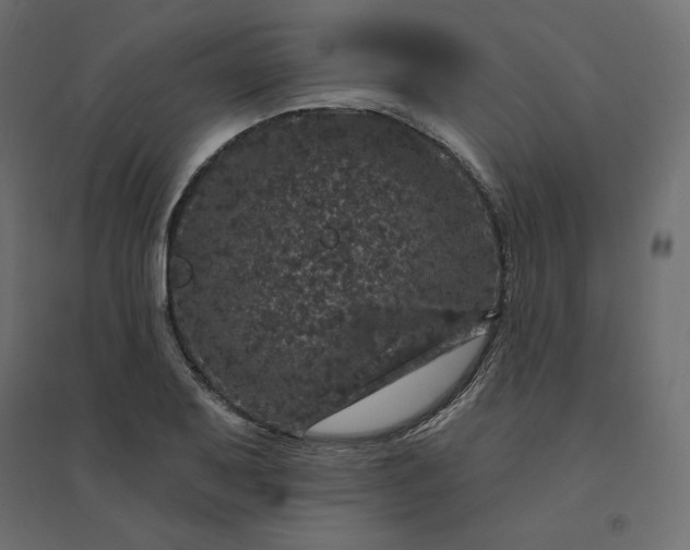 X0000094441079200711211450