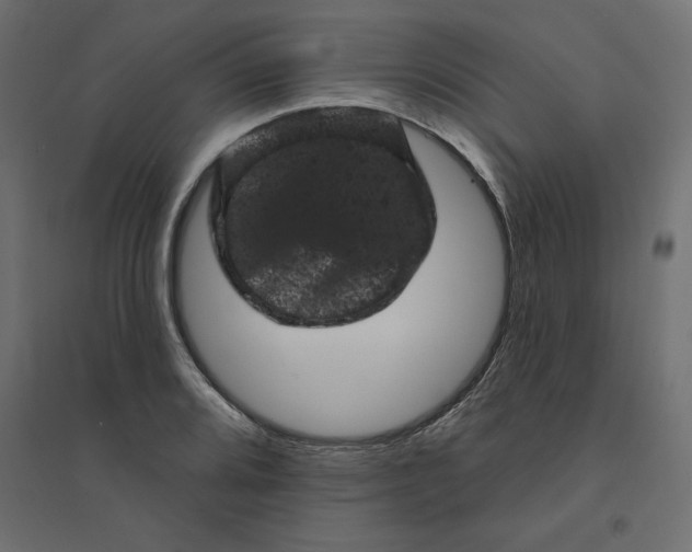 X0000094441080200711211450