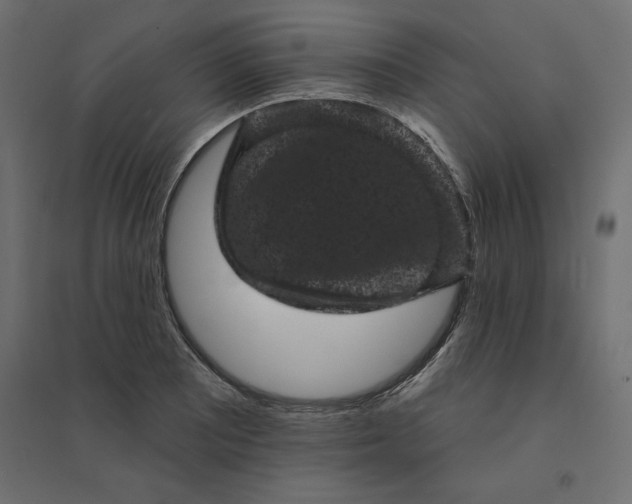 X0000094441081200711211450