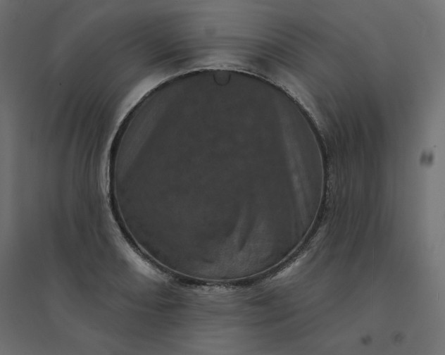 X0000094441082200711211450