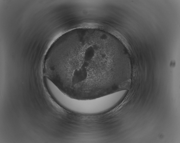 X0000094441083200711211450