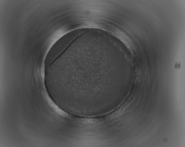 X0000094441084200711211450