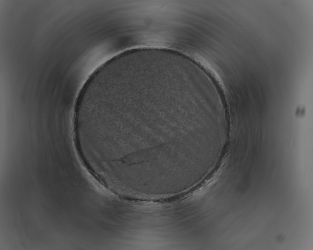 X0000094441085200711211450