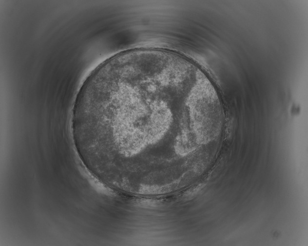 X0000094441086200711211450