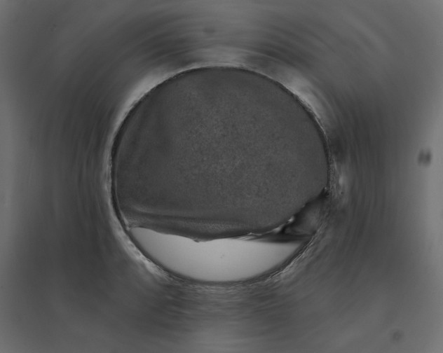 X0000094441088200711211450