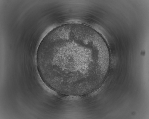 X0000094441090200711211450