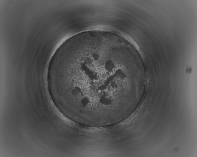 X0000094441091200711211450