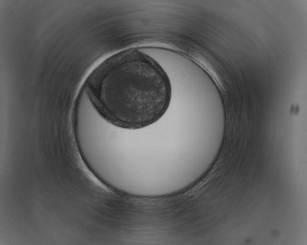 X0000094441092200711211450