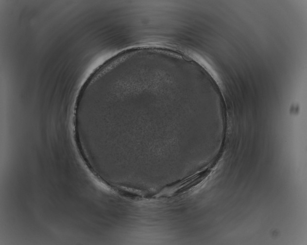 X0000094441093200711211450