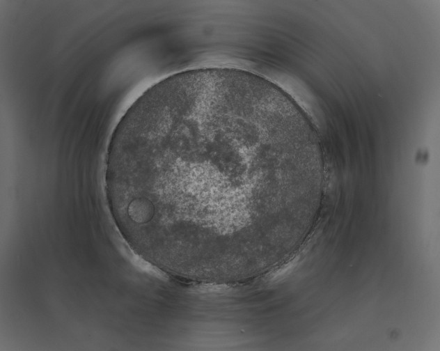 X0000094441094200711211450