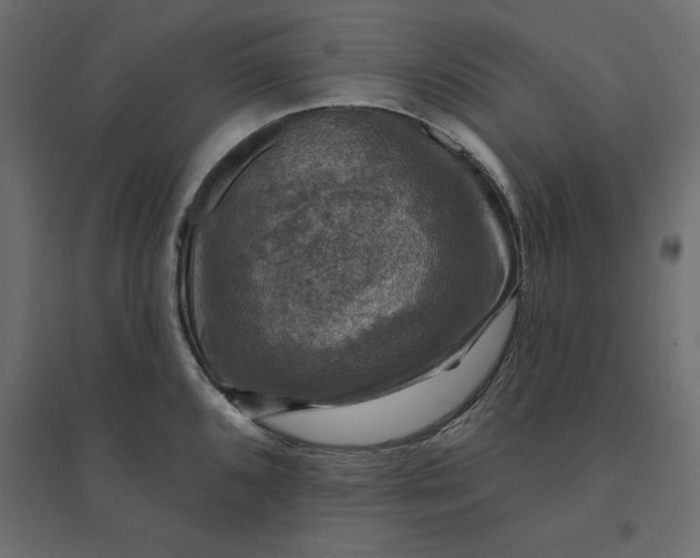 X0000094441096200711211450