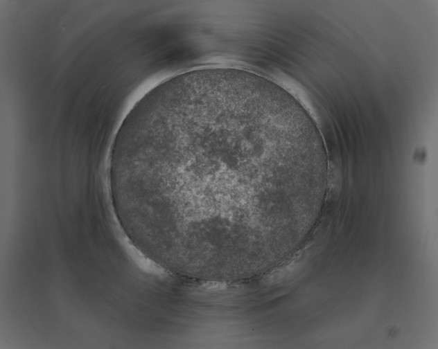 X0000094441098200711211450