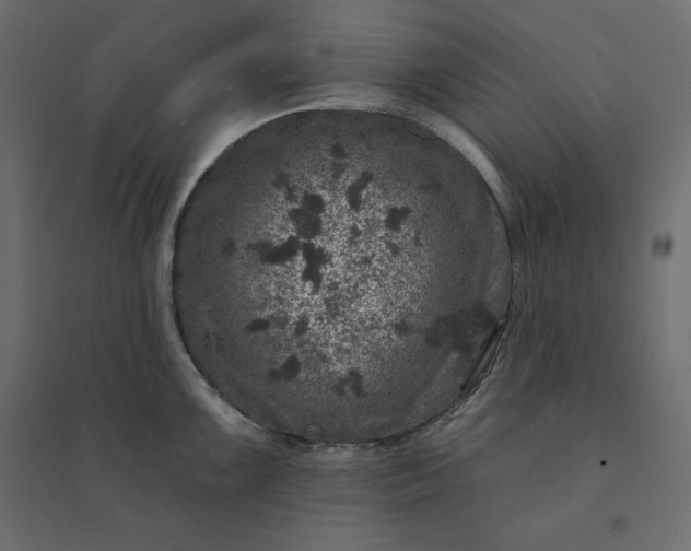 X0000094441099200711211450