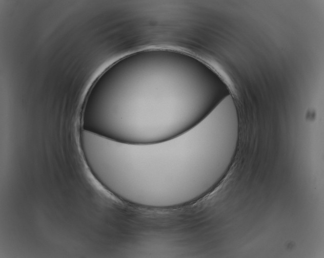 X0000094441100200711211450