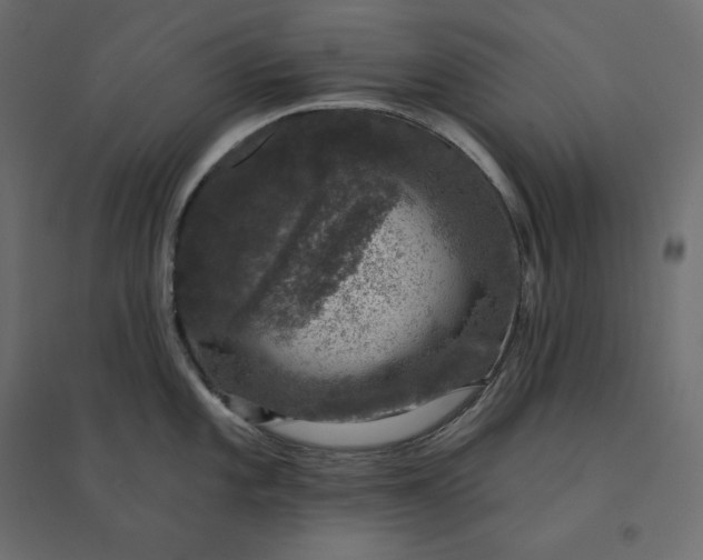 X0000094441101200711211450