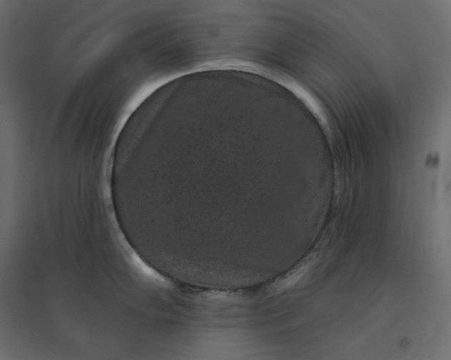 X0000094441102200711211450