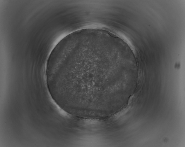 X0000094441103200711211450