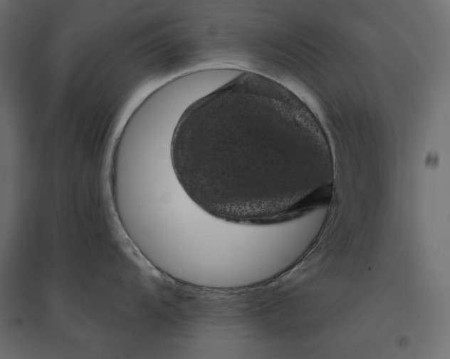 X0000094441104200711211450