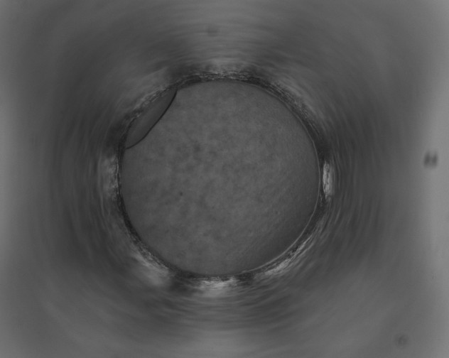 X0000094441107200711211449