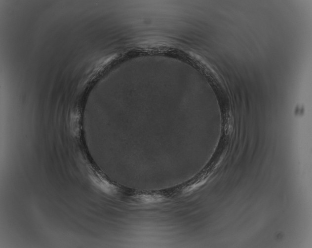 X0000094441108200711211449