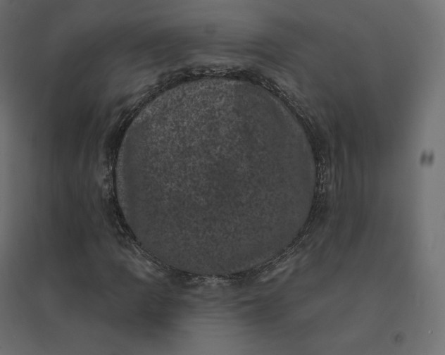 X0000094441109200711211450