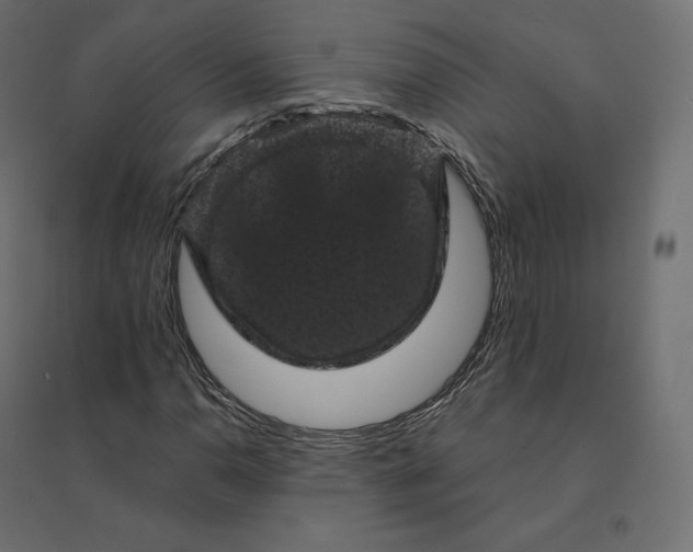 X0000094441110200711211450