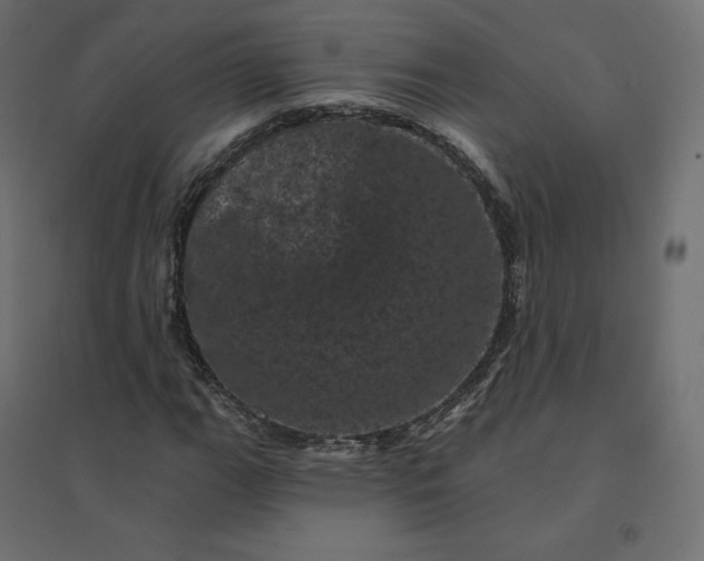 X0000094441111200711211450