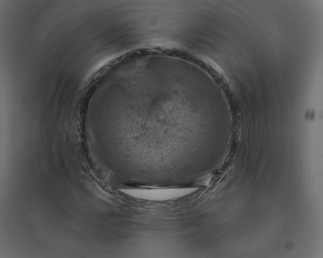 X0000094441112200711211450