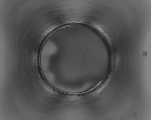 X0000094441113200711211450