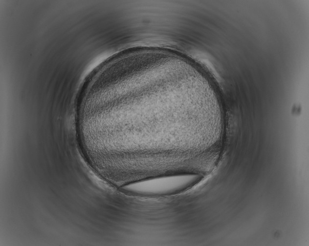 X0000094441114200711211450