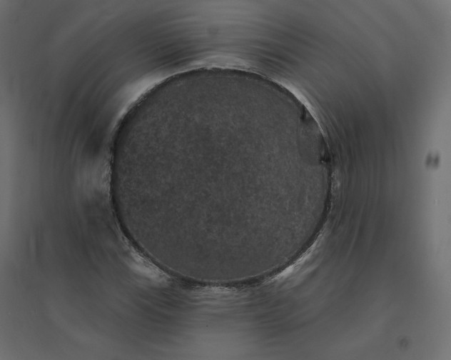 X0000094441115200711211450