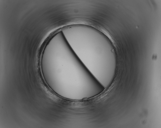 X0000094441116200711211450