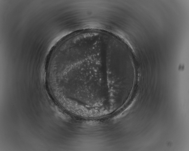 X0000094441117200711211450