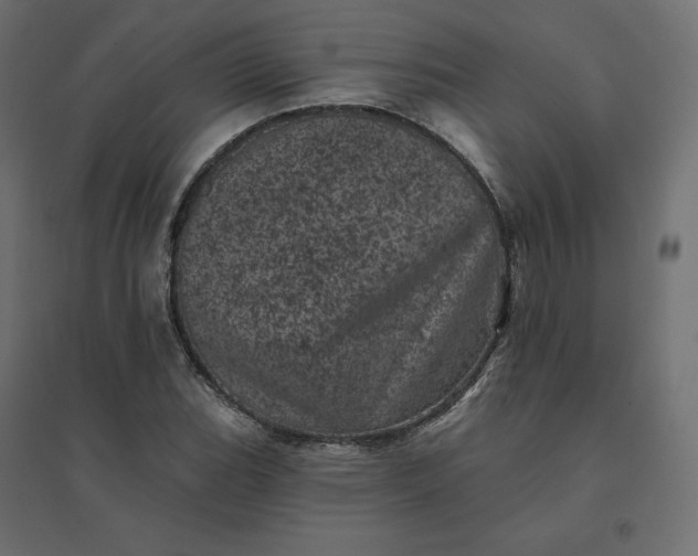 X0000094441119200711211450