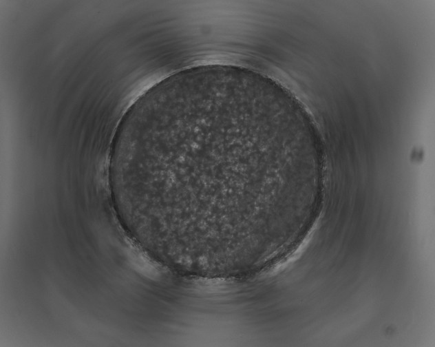 X0000094441121200711211450