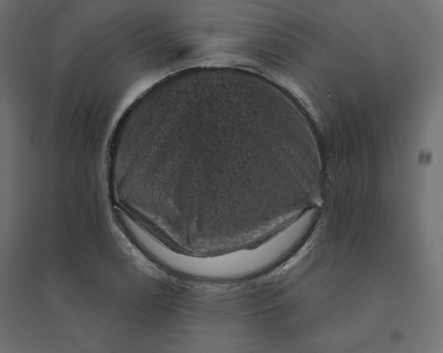 X0000094441122200711211450