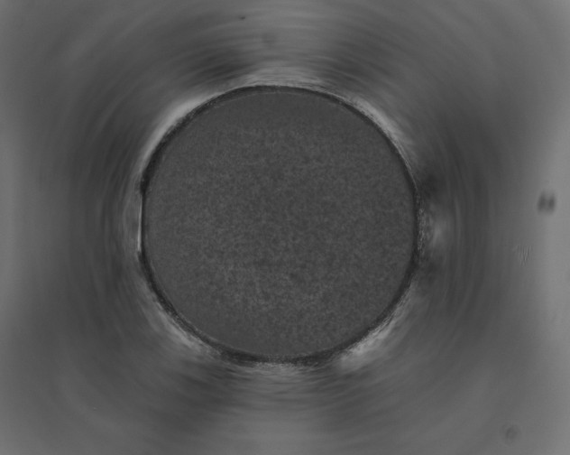 X0000094441123200711211450