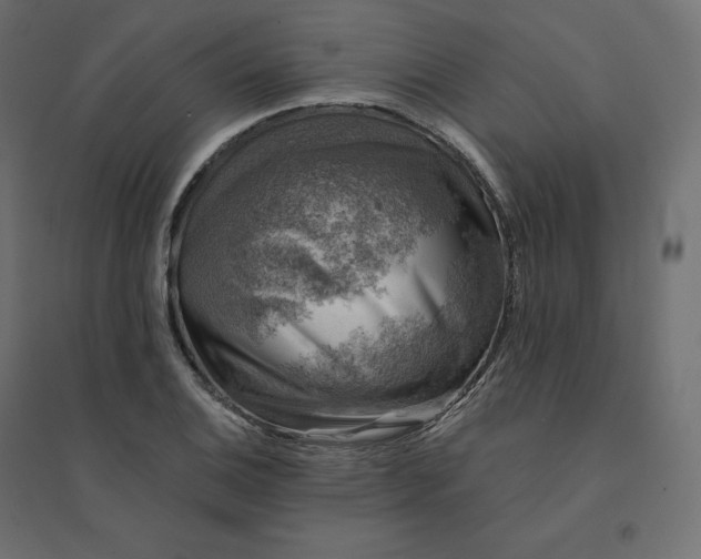 X0000094441124200711211450