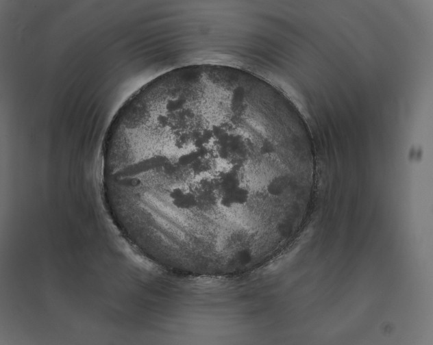 X0000094441125200711211450