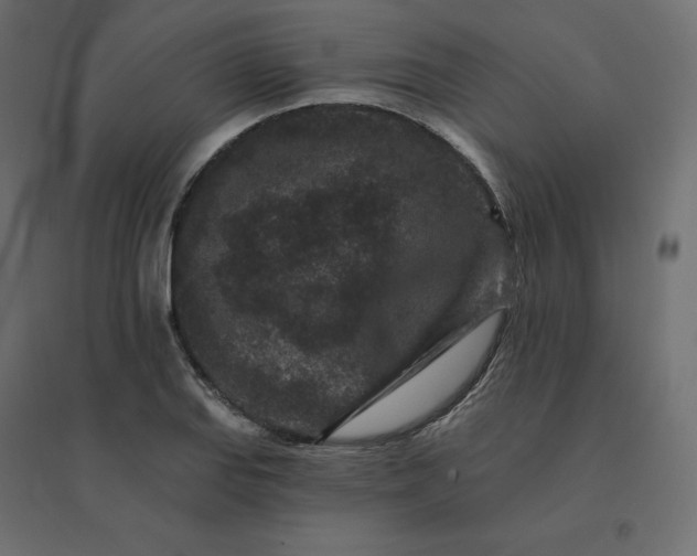 X0000094441127200711211450