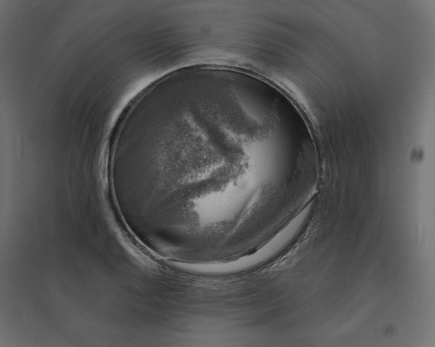 X0000094441128200711211450