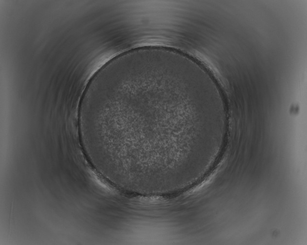 X0000094441129200711211450