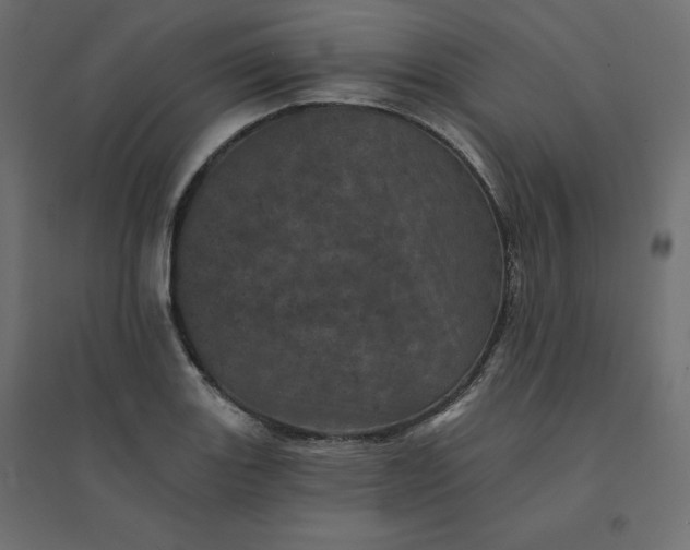 X0000094441131200711211450