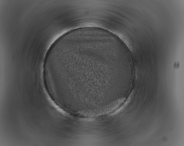 X0000094441134200711211450