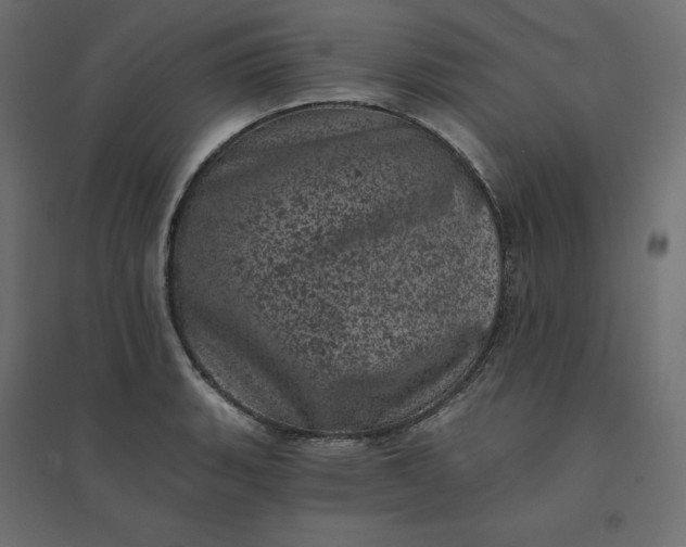 X0000094441135200711211450