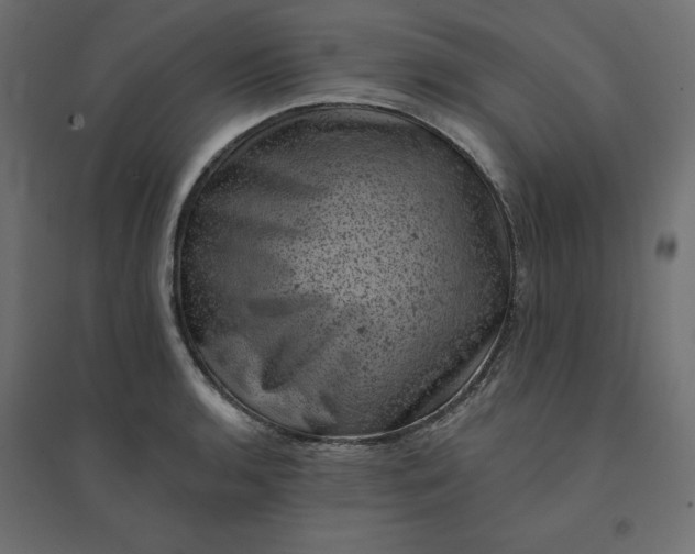 X0000094441136200711211450