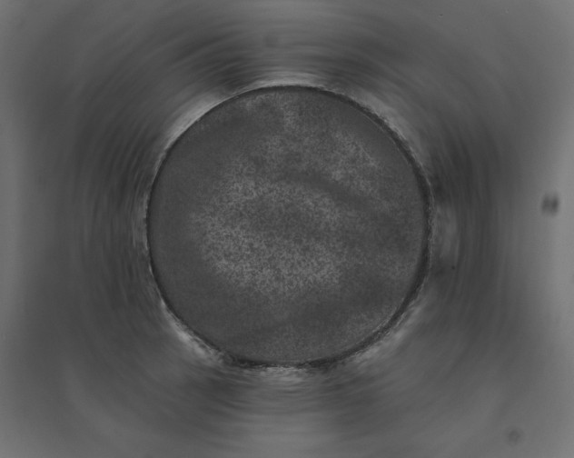 X0000094441137200711211450