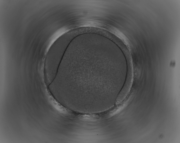 X0000094441138200711211450